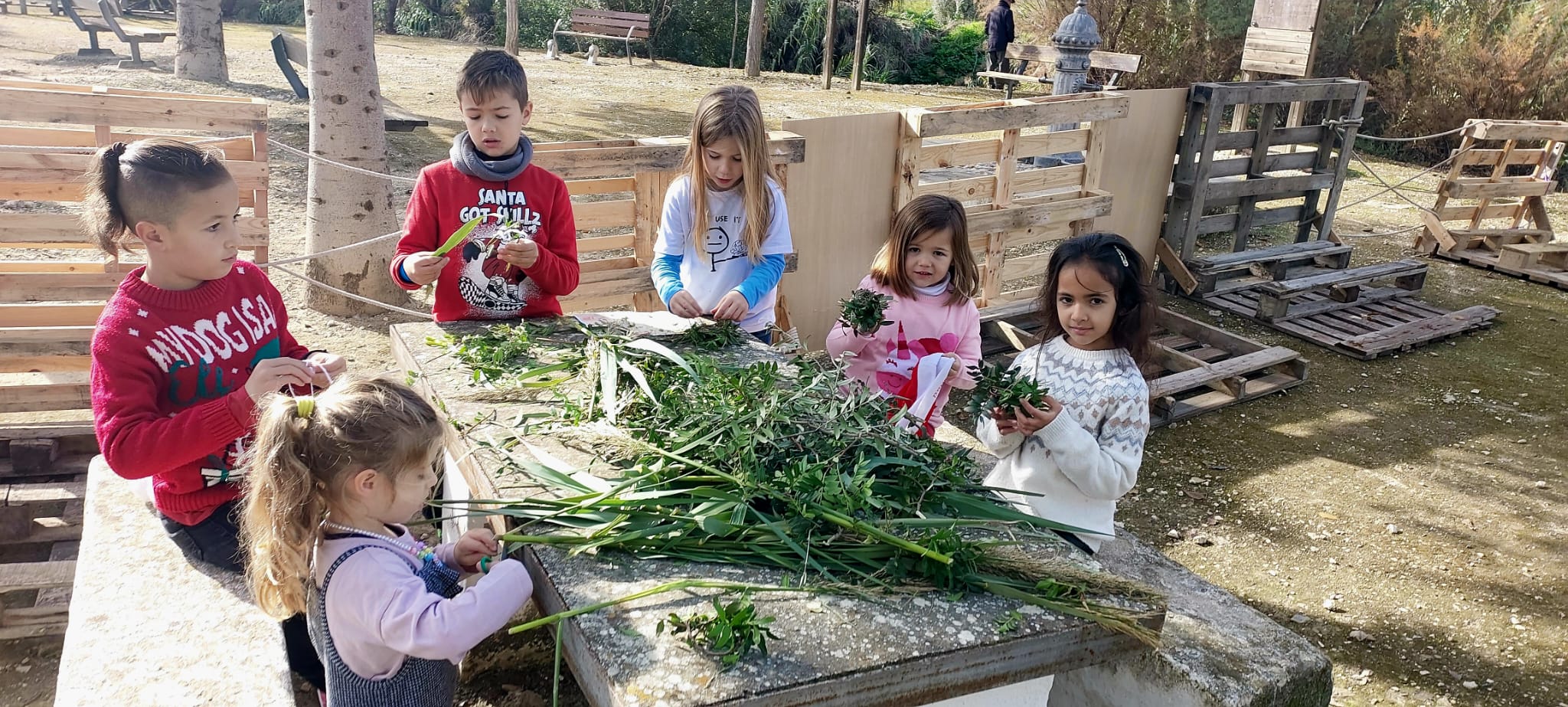 WhatsApp Image 2025-12-06 at 12.52.41 PM (1)